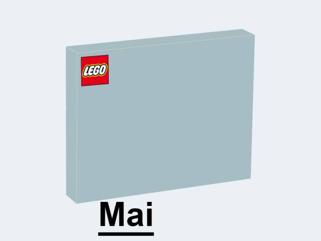 LEGO Botanicals Kleiner Sommerstrauß