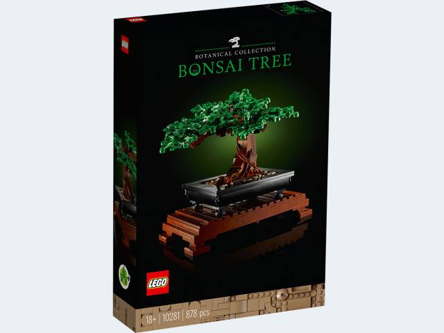 LEGO Botanicals Bonsai Baum