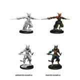 D&D Nolzur’s Marvelous Miniatures Female Tabaxi Rogue